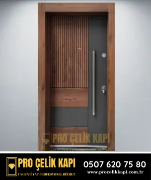 Beşiktaş Çelik Kapı - Plus 24